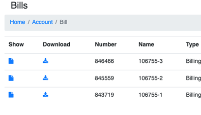 How do I see my invoices or statements?