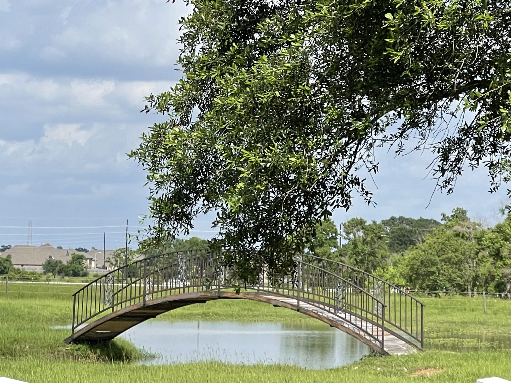 Arched footbridge over a pond near the FM 1960 Cypress Creek corridor in northwest Houston