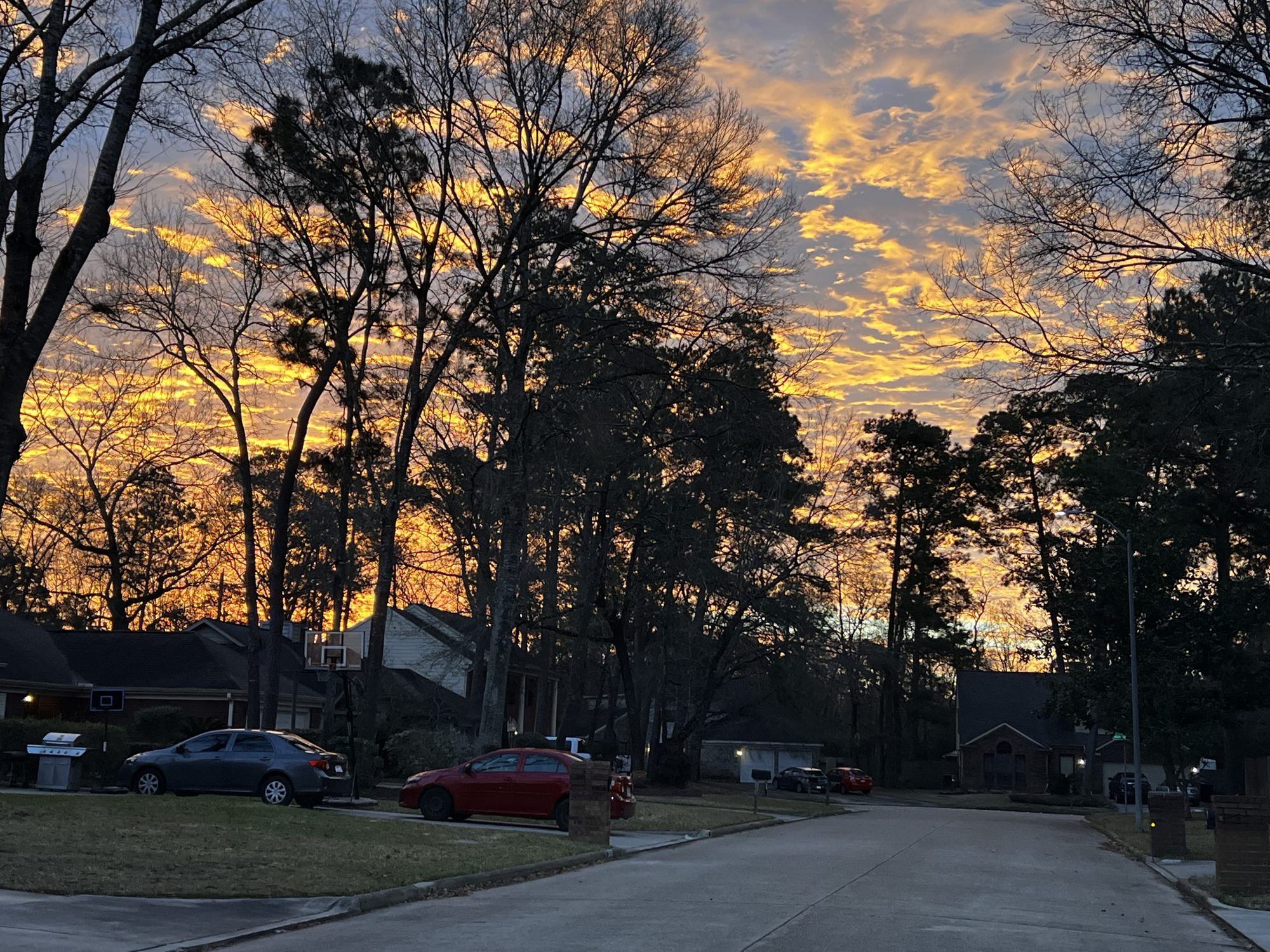 Golden sunset over a wooded neighborhood street in Porter Texas