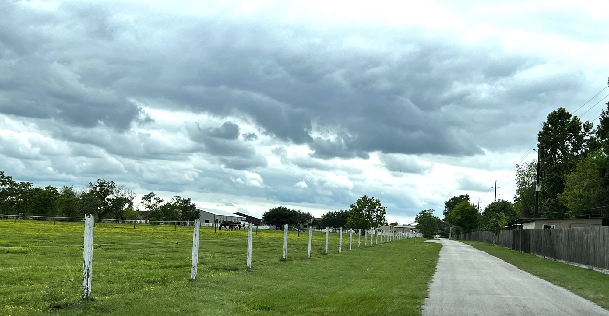 Country lane lined with white ranch fence posts in the Tomball northwest Houston area